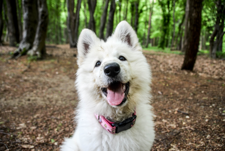 палец вверх милому улыбаке! 😛