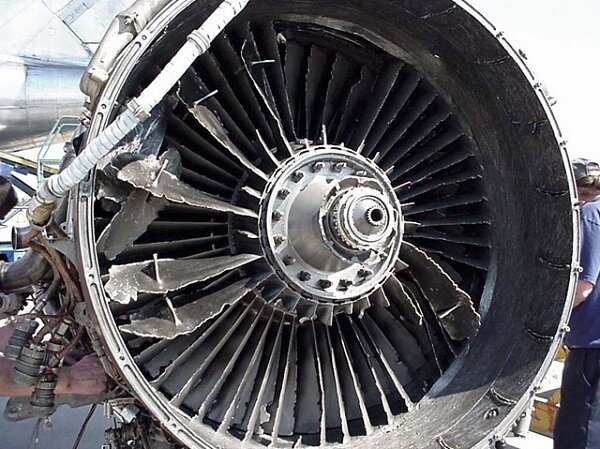 Повреждение двигателя после попадания птицы в момент посадки.