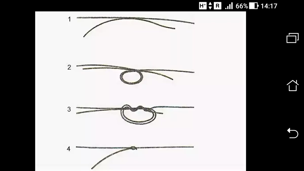 фото рисунок как вязать поводок с помощью хирургического узла