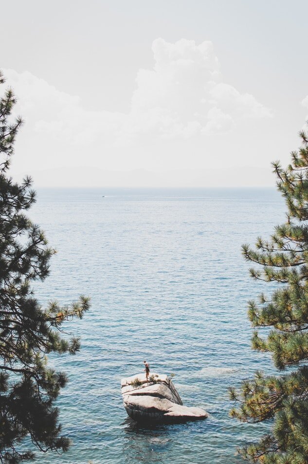 Источник фото: unsplash.com