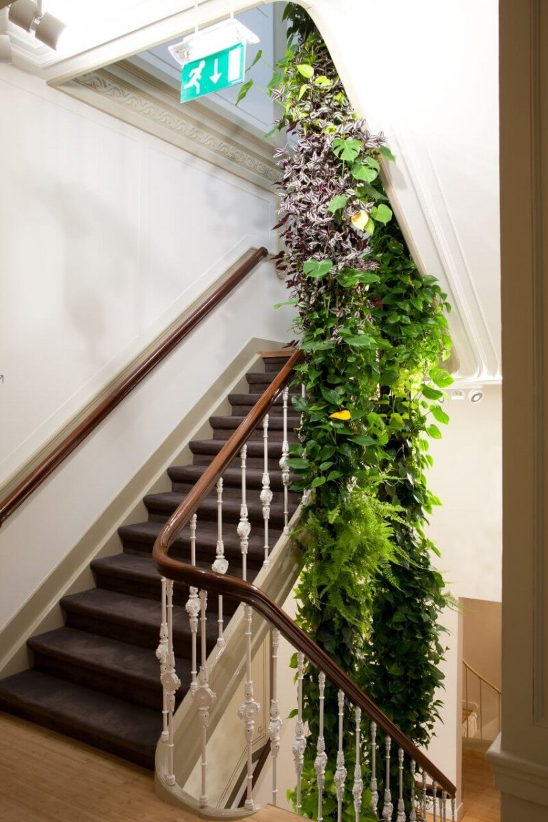 Вертикальное озеленение в интерьере своими руками- растения +Фото и Видео