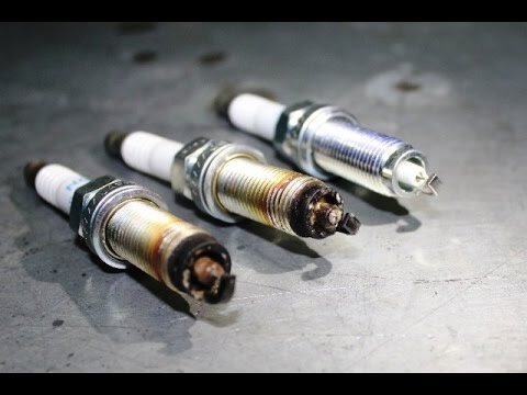 Фото: youtube.com