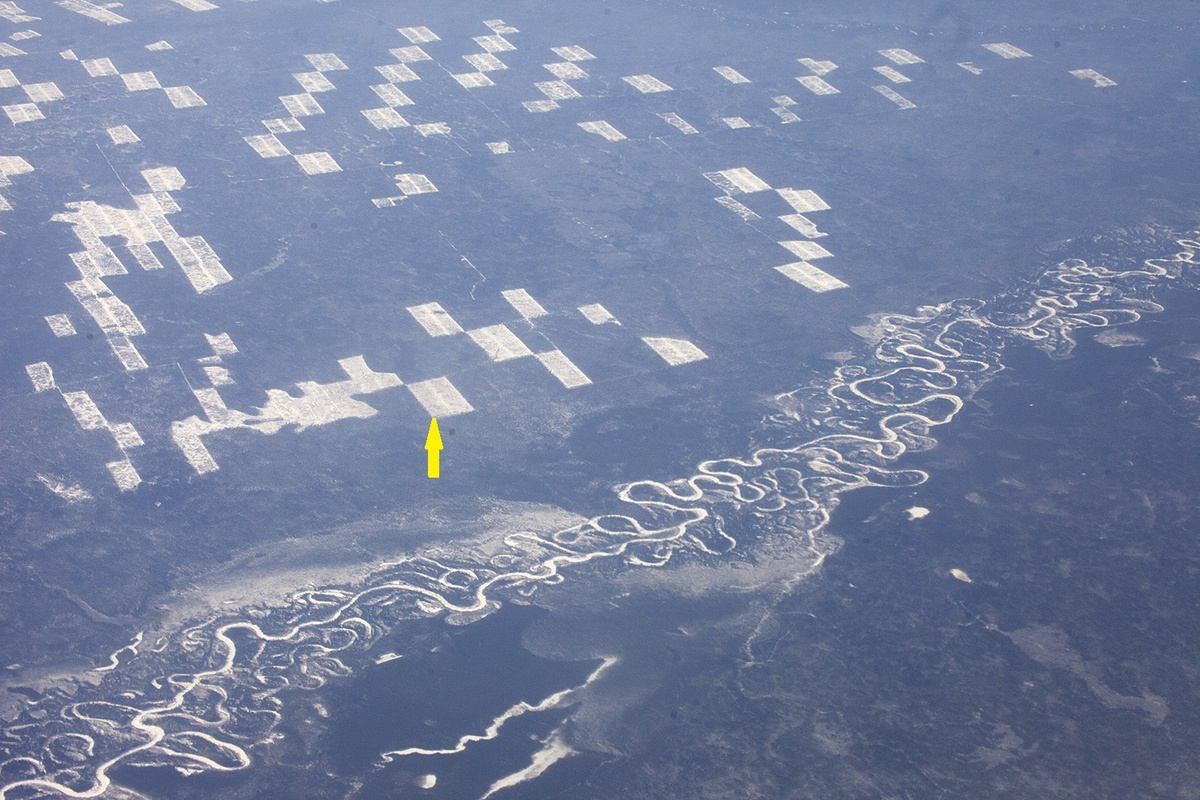 
Автор фотографии - Мария Васильева
