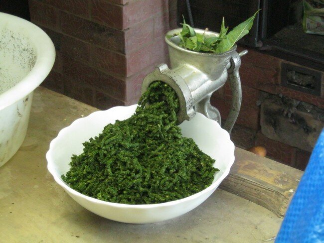 Производство "гранулированного" ива-чая. Фото не моё, взято из открытых источников.