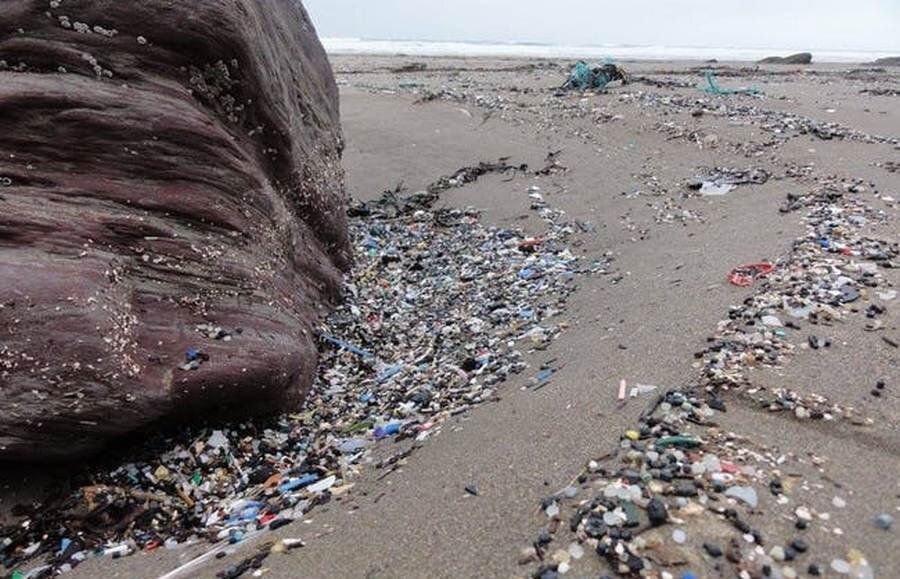 Источник: Lego Lost At Sea / SWNS 