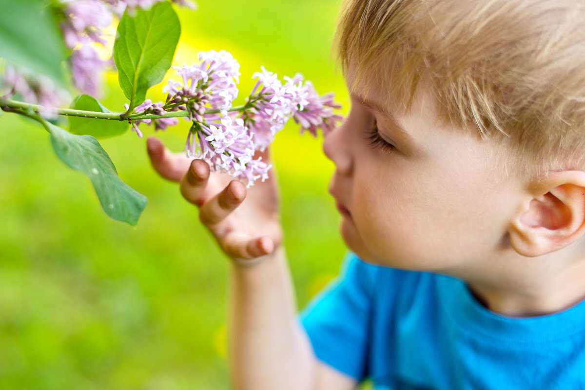 Обоняние детей. Ребенок нюхает цветок. Аромат весны. Нюхает цветы. Лето природа.