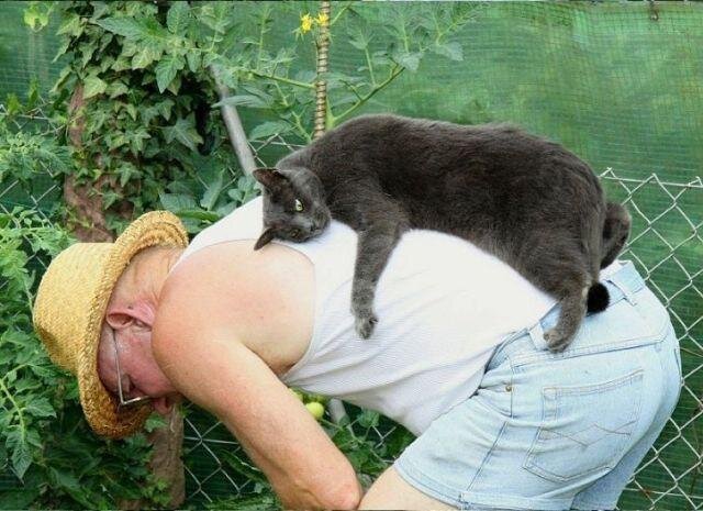 Картинка из инета