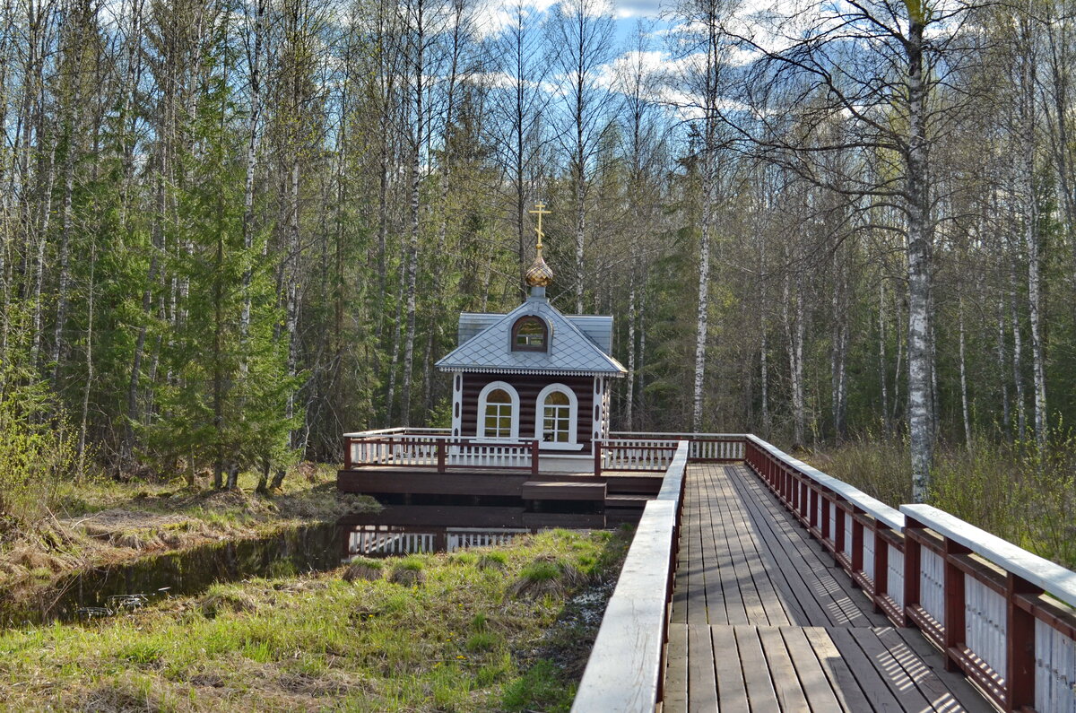 Река волга где начинается фото