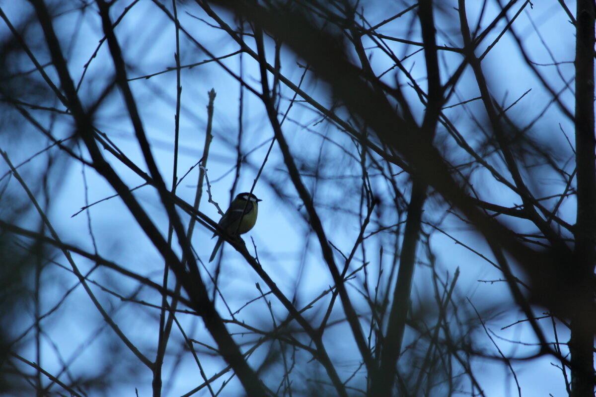 фото Татьяны Антоновой