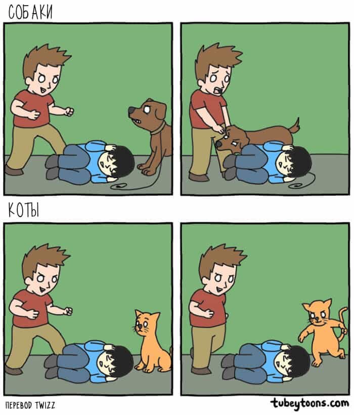Картинка позаимствована tubeytoons.com
