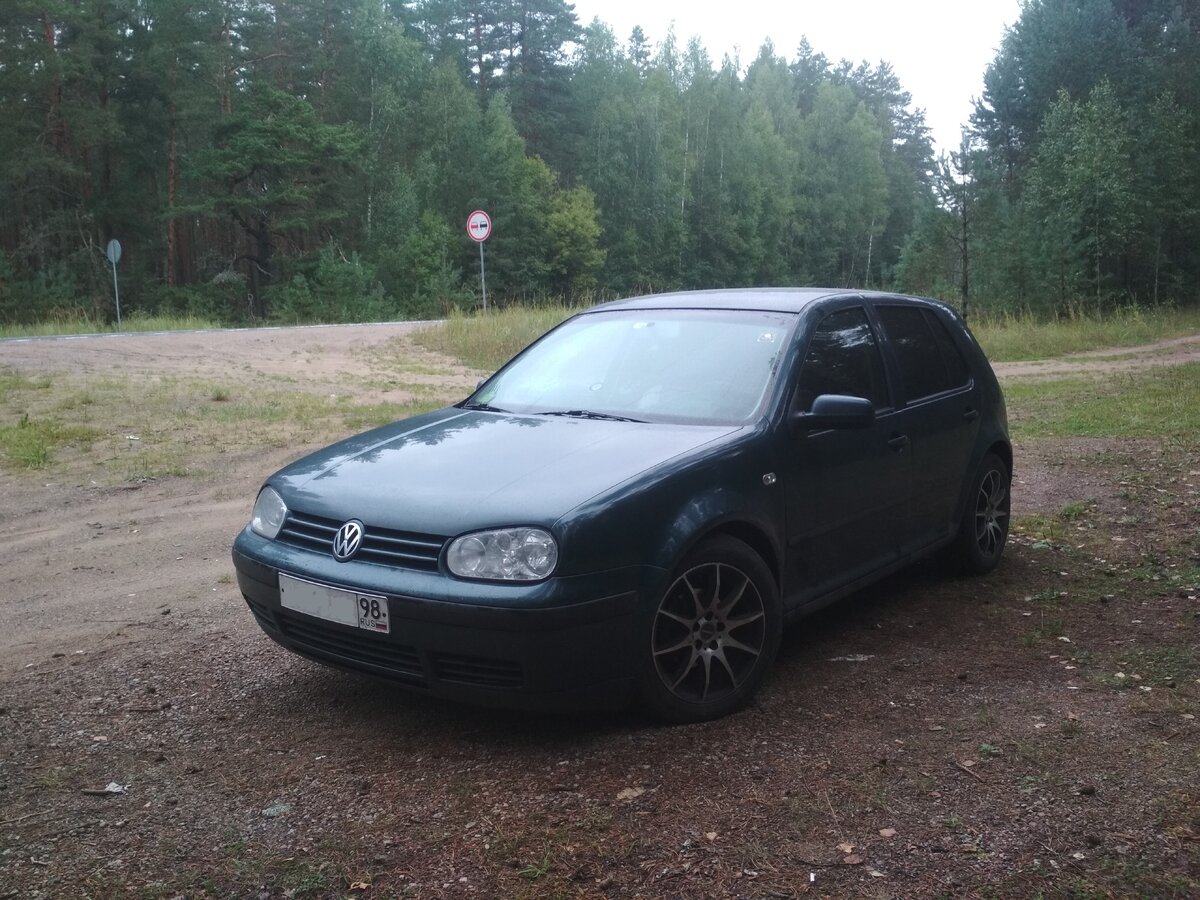 Наш дом на ближайшие две недели