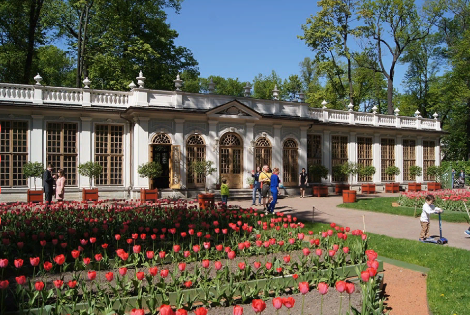 Летний сад в санкт петербурге сейчас фото