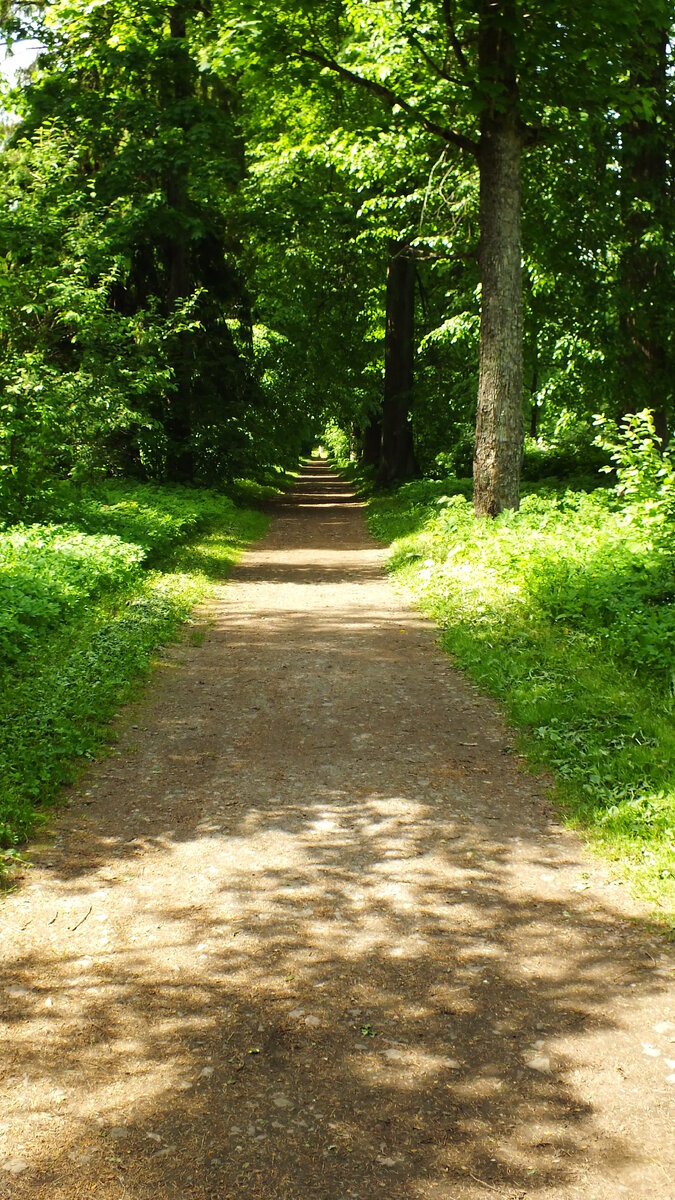Вот где хочется гулять!