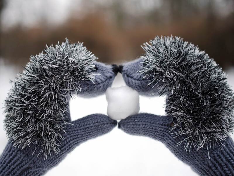 Изображение взято из открытых источников Интернета