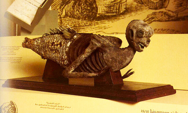 Фото останков русалки в одном из храмов Японии