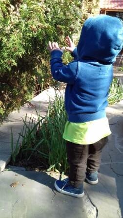 из личных архивов