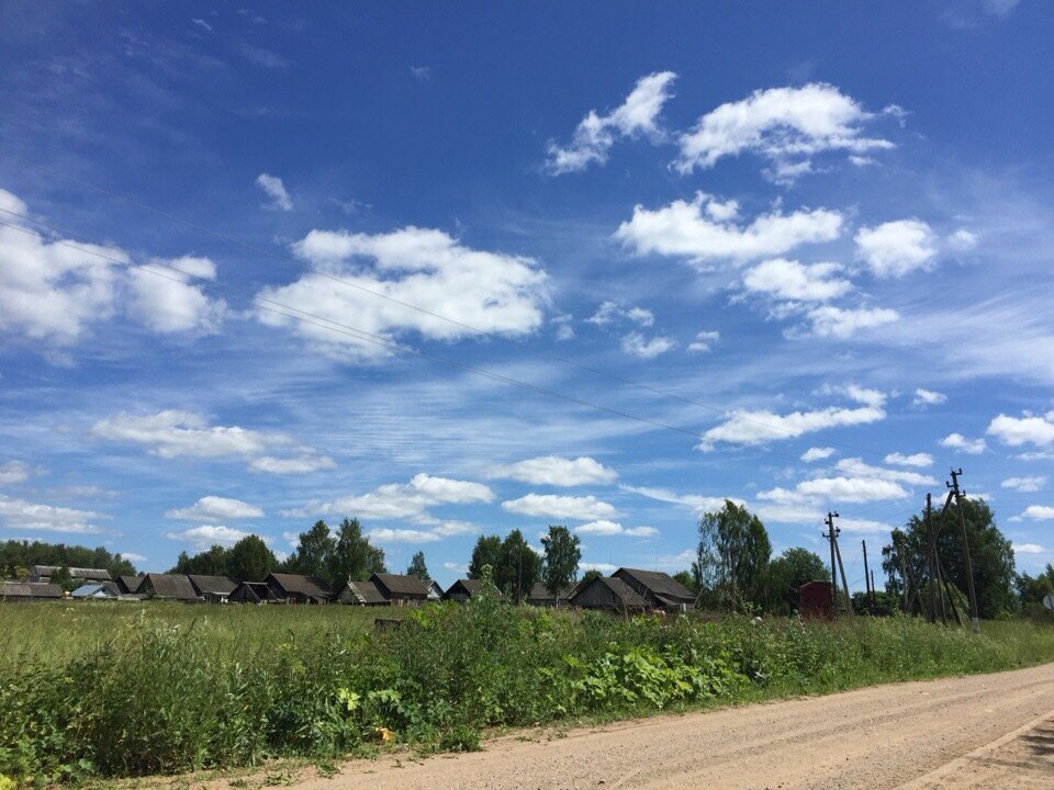 Деревенский пейзаж. Бежецкий район