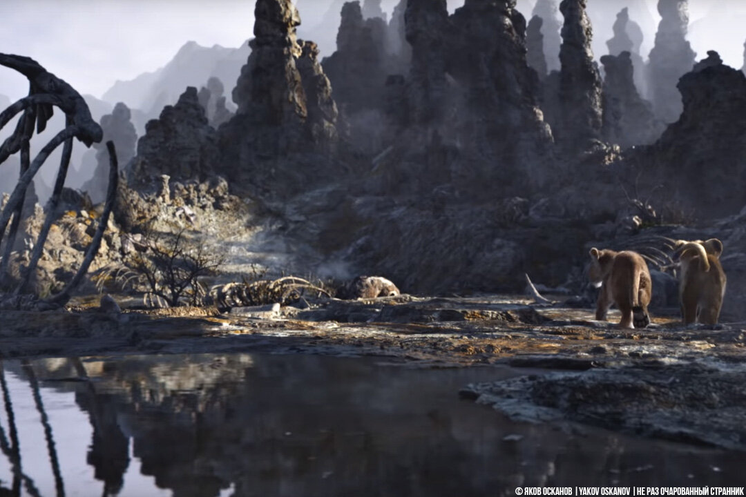 Но львёнок, естественно не послушался