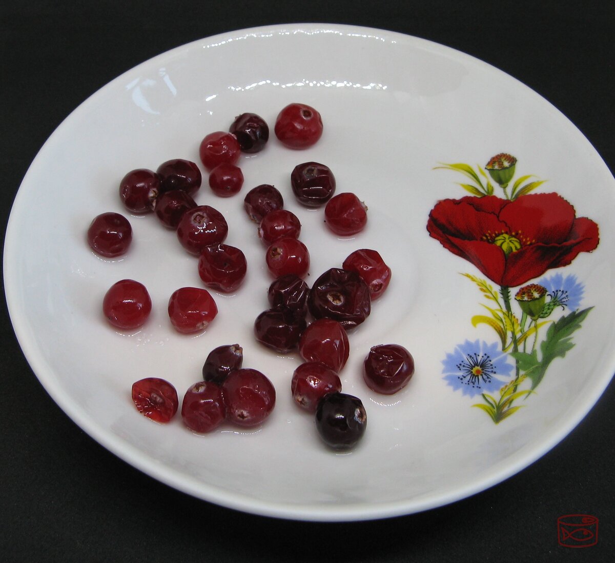 Остатки прошлогодней клюквы