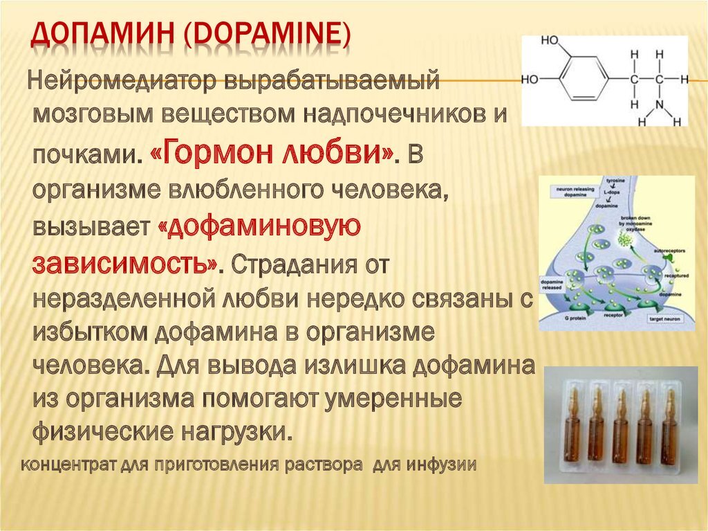 Немного интересной информации для вас, друзья!