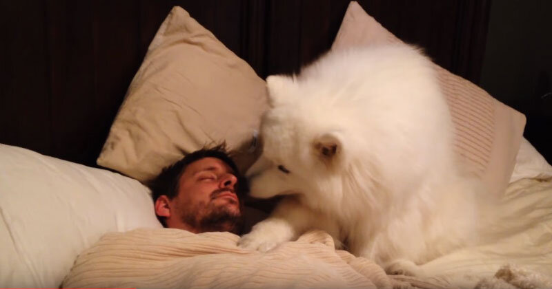 фото взято из от крытого источника Яндекс картинки.