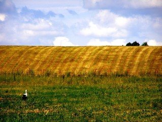 фото взято из свободного доступа сети интернет