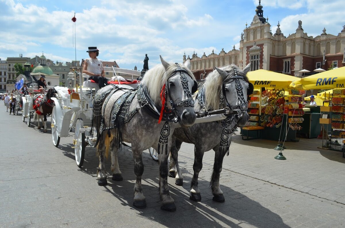 Исторический  центр Кракова