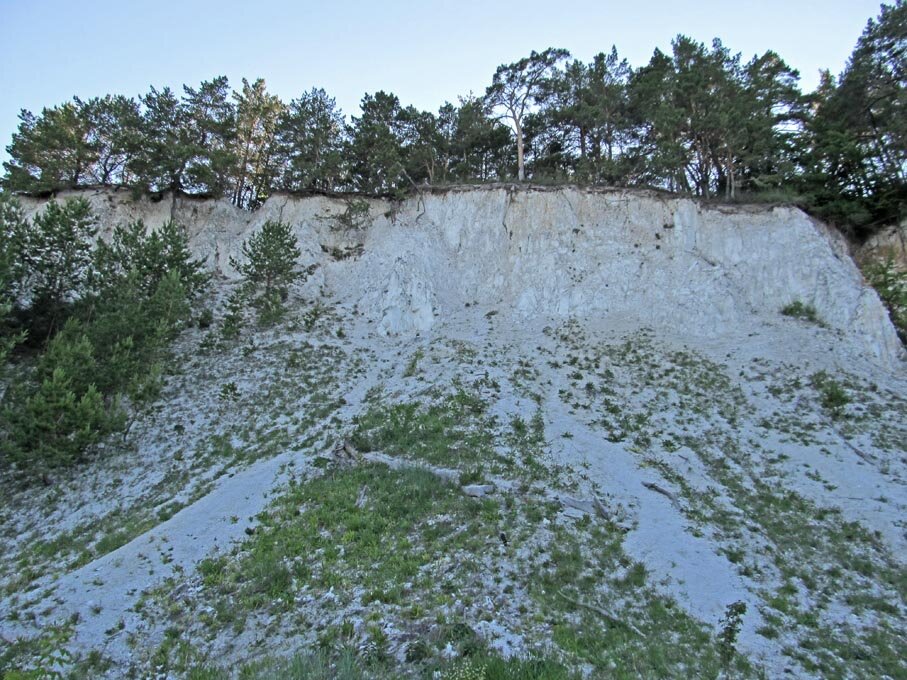 Луганское реликтовое животное