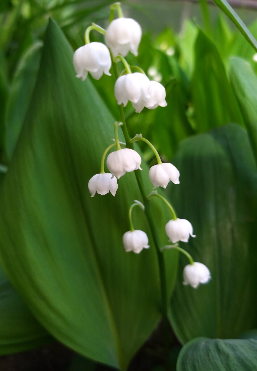                                                                                      Фото автора статьи