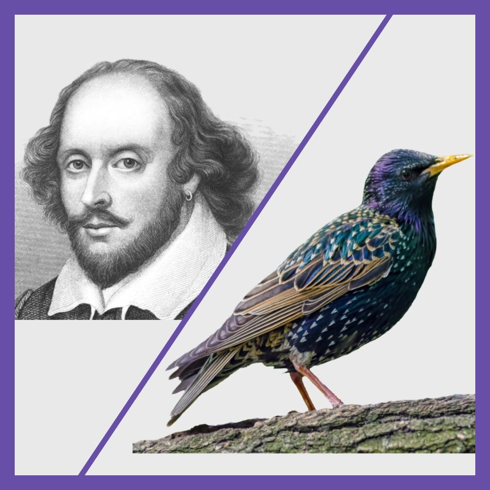 Коллаж создан на основе фото с сайта https://www.freepng.ru