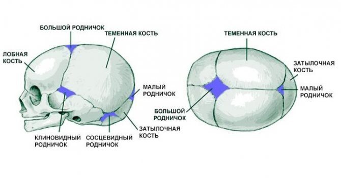большой и малый родничок у новорожденного ребенка в нормальные сроки