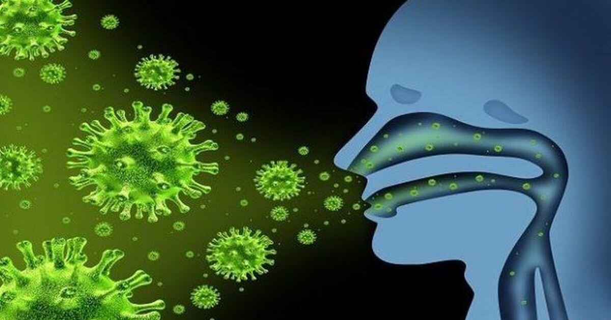 яндекс картинка