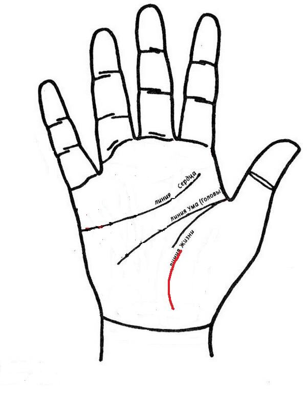 Хиромант линия жизни на ладони. Две параллельные линии жизни. Линия головы. Линия жизни на ладони. Линия судьбы на руке.