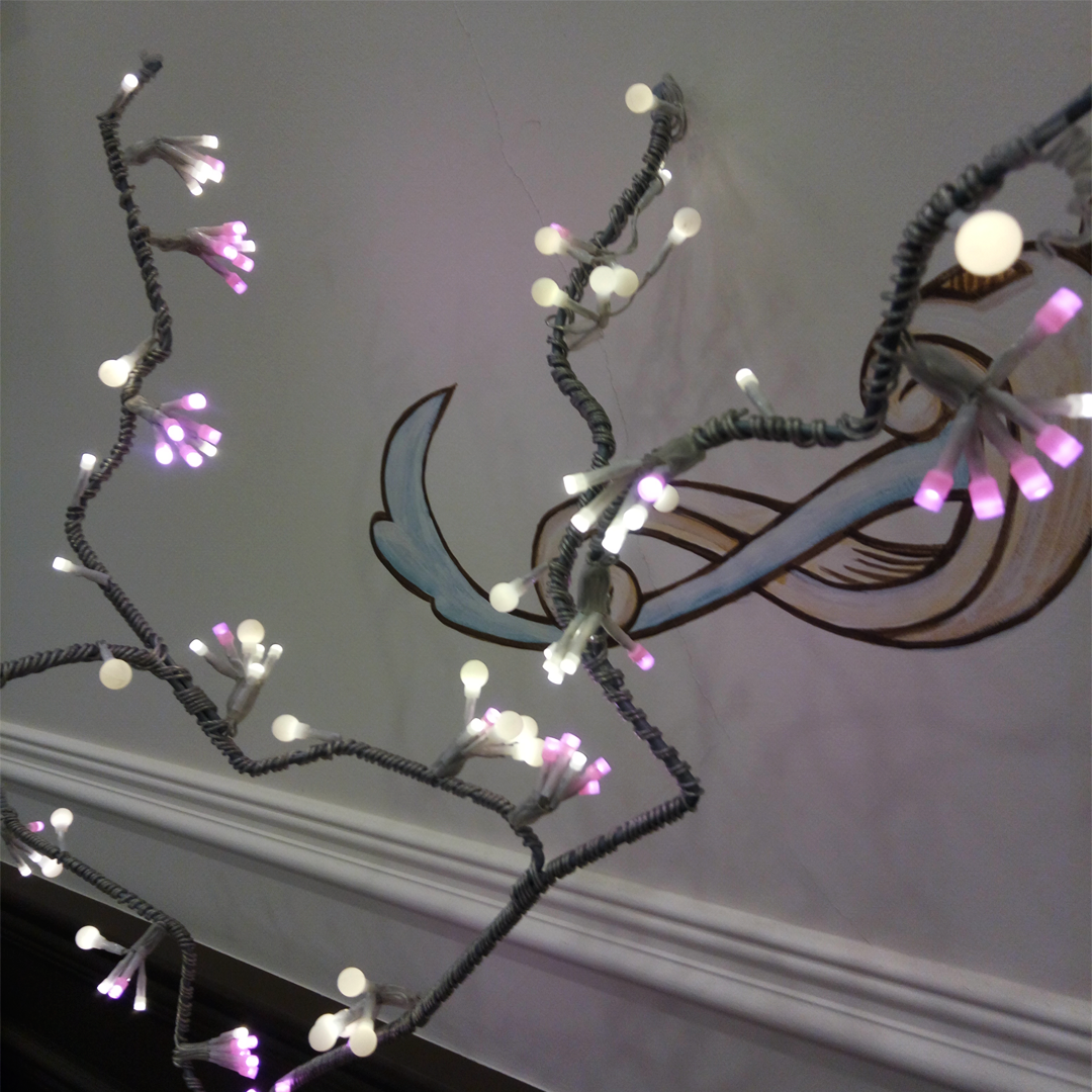 Как мы делаем выводы