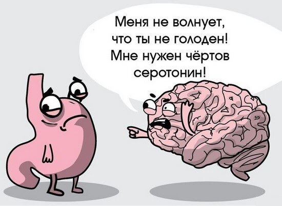 Больные депрессией часто едят много сладкого – повышение глюкозы на короткое время стимулирует выброс серотонина. Источник: Яндекс-картинки
