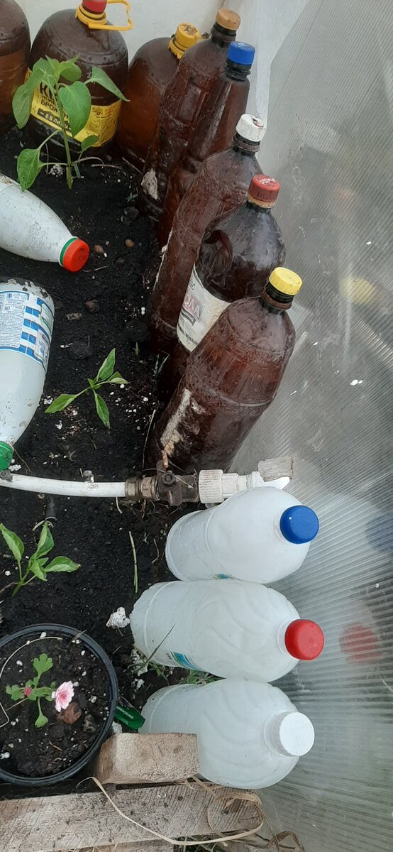 Внутри теплица.