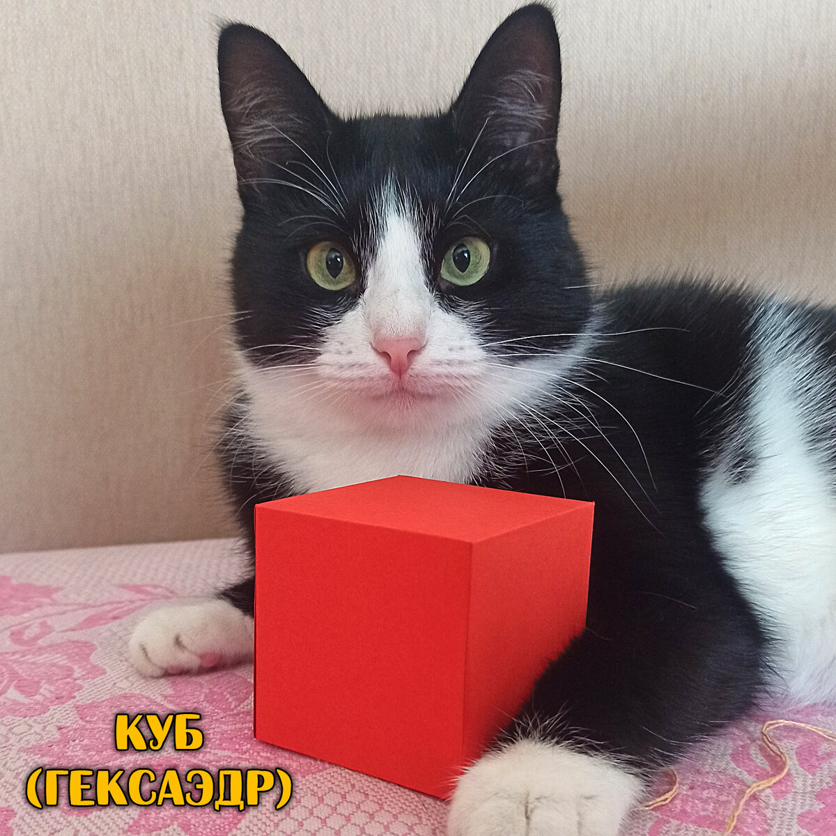 Котаэдр и гексаэдр