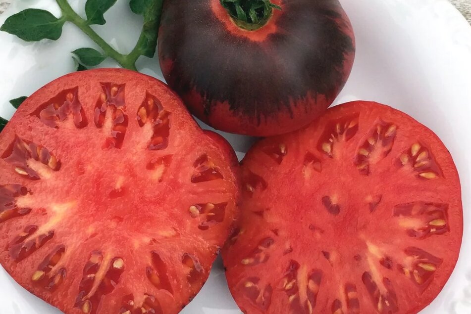 Звезда сибири томат описание сорта фото