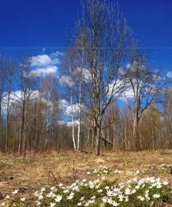 Фото взято из интернета. Огромное спасибо автору. 