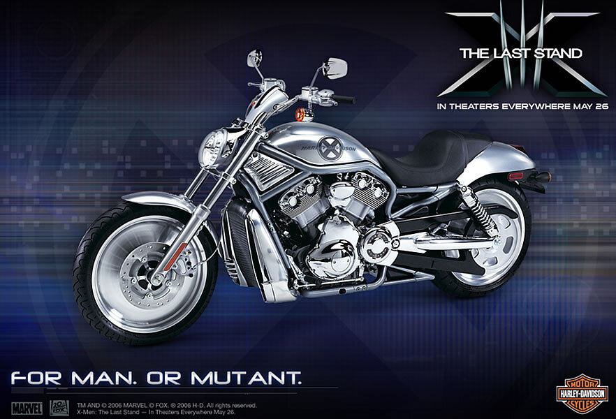 картинка из открытых источников