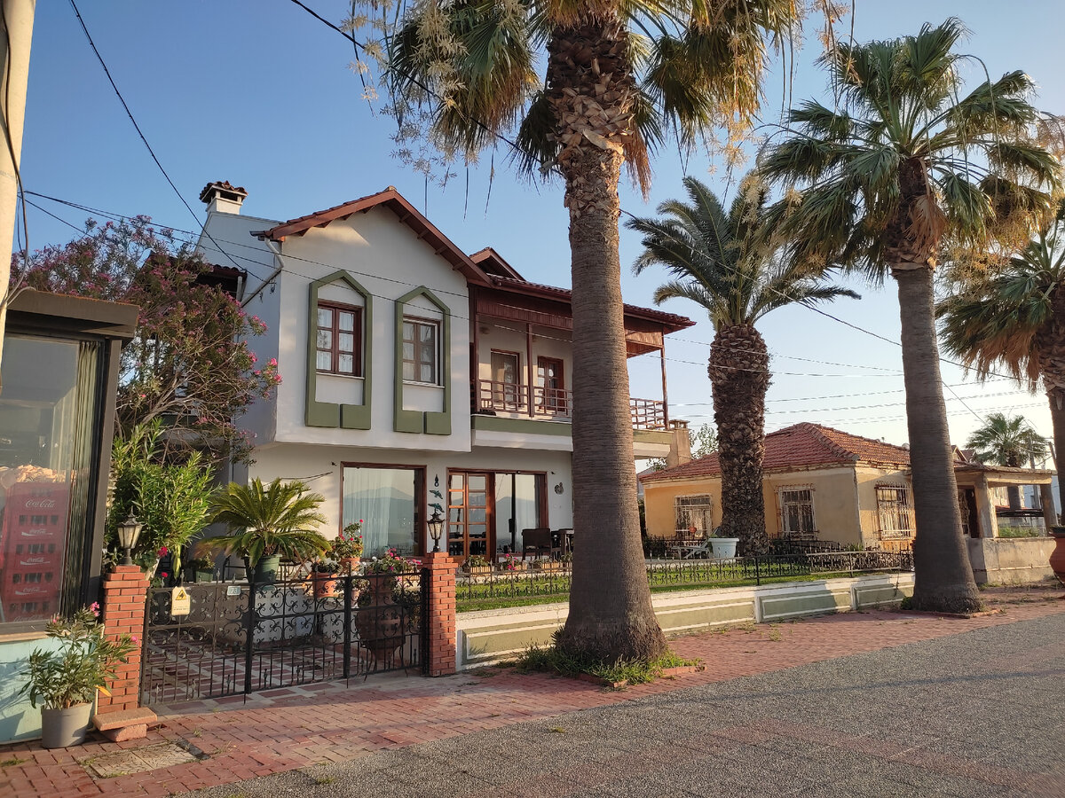 Фотографии автора статьи