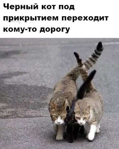 Немного позитива для поднятия настроения) 