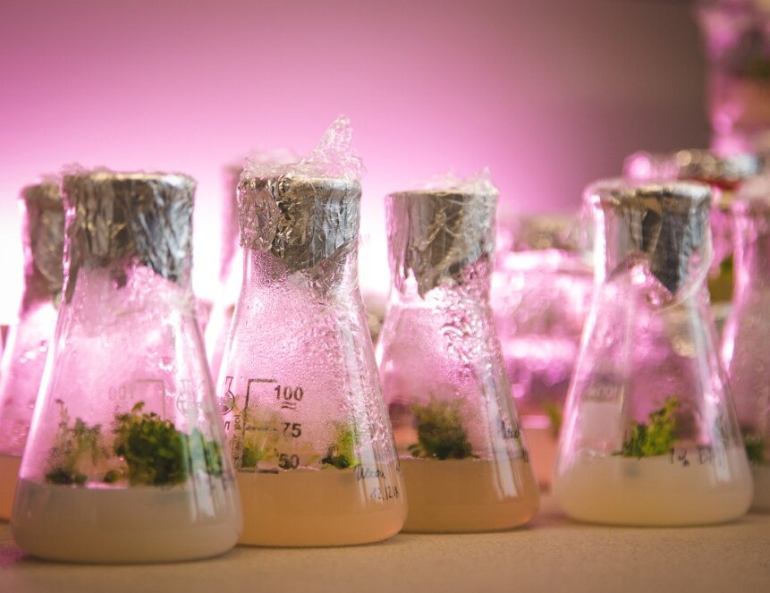 Изображение: Ольга Бабич