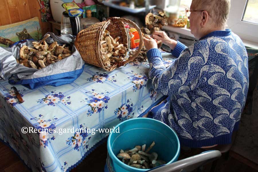 Маме трудно передвигаться, поэтому она чистит грибы в доме, а я - на улице - фото автора