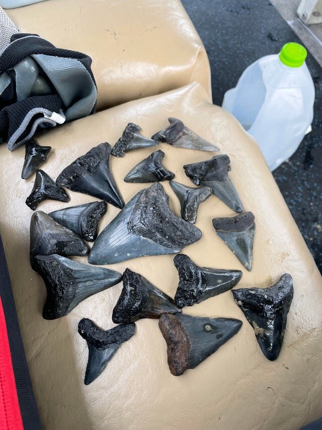 luciferlol_666/reddit.com