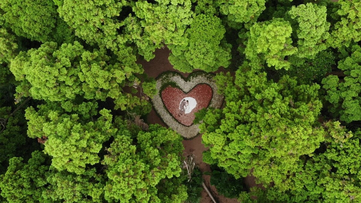 Сердце леса, Luo Shengping / Drone Photo Awards 2021