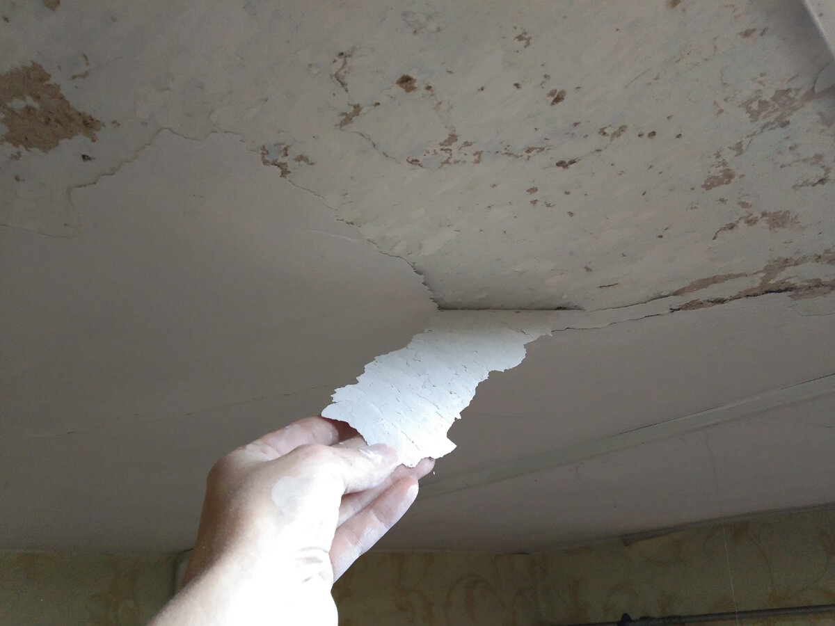 Здесь и далее фото автора.