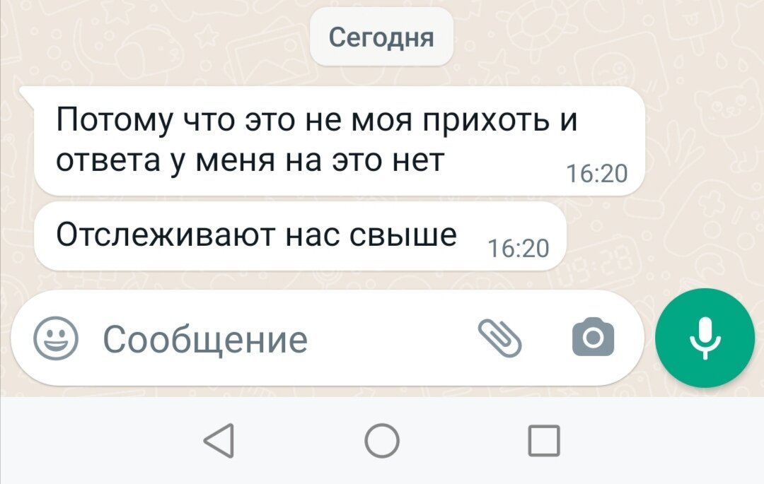 Вот так в личку мне ответил учитель. Я в шоке. 