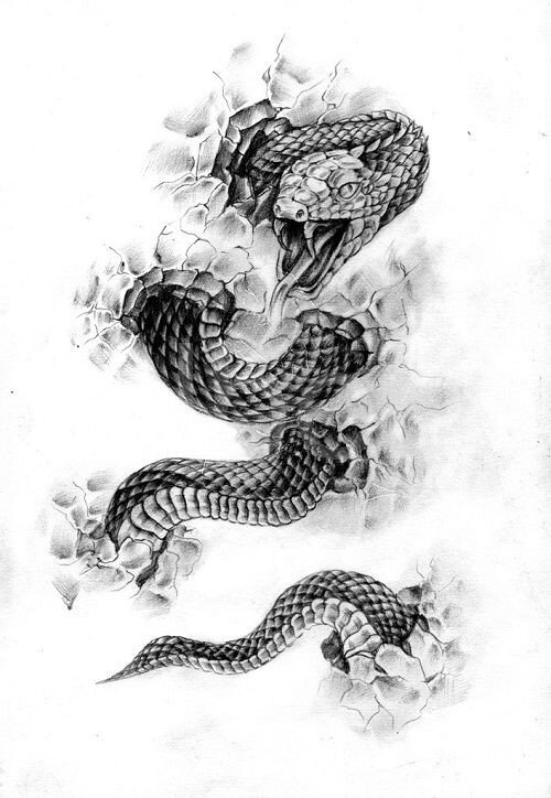 Стоковые фотографии по запросу Змея тату