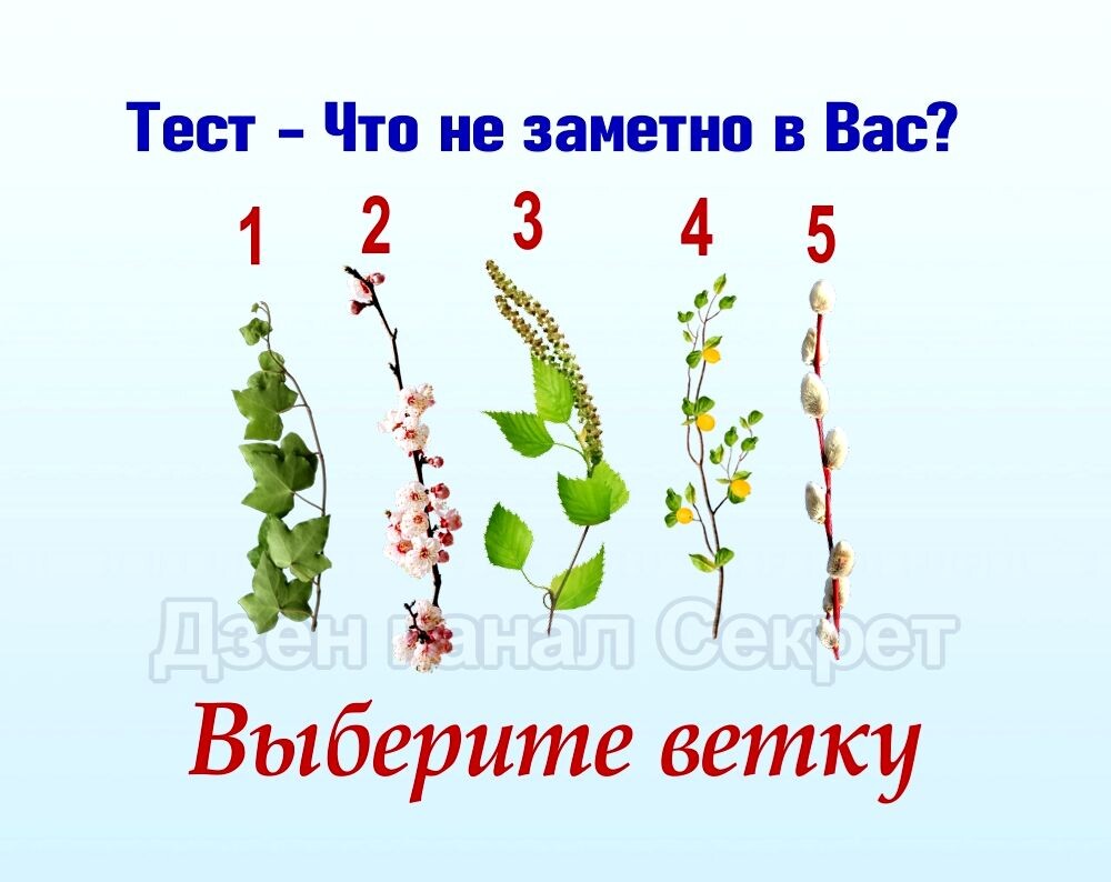 Тест - Что незаметно в Вас - Выберите ветку